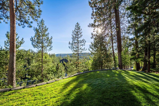 1306 E Blackwood Ln, Spokane, WA 99223 - photo 6