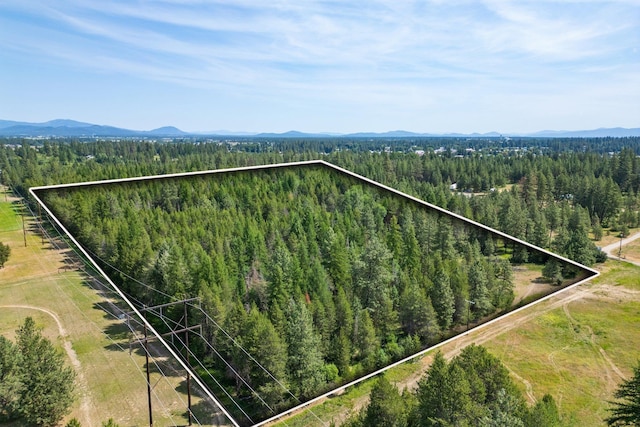 NKA W Antler Rd, Deer Park, WA 99006 - photo 1