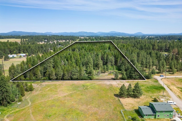 NKA W Antler Rd, Deer Park, WA 99006 - photo 2