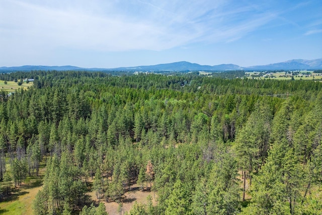 NKA W Antler Rd, Deer Park, WA 99006 - photo 11