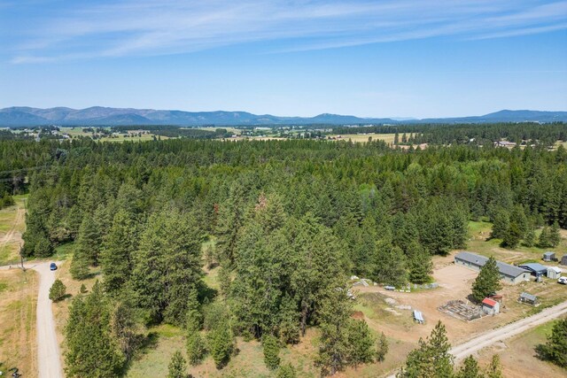 NKA W Antler Rd, Deer Park, WA 99006 - photo 12