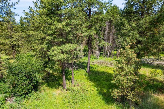 NKA W Antler Rd, Deer Park, WA 99006 - photo 13