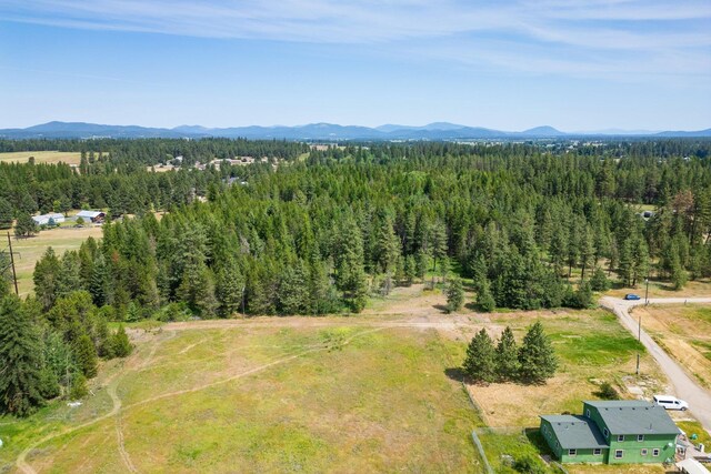 NKA W Antler Rd, Deer Park, WA 99006 - photo 15