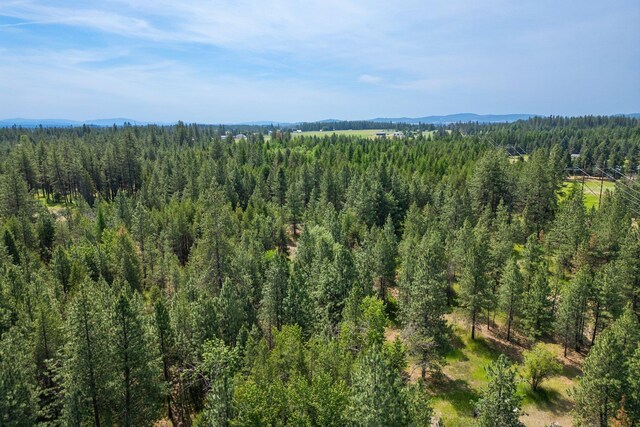 NKA W Antler Rd, Deer Park, WA 99006 - photo 16