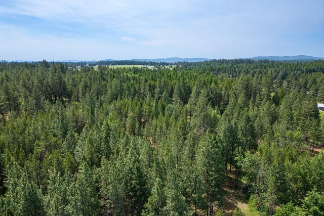 NKA W Antler Rd, Deer Park, WA 99006 - photo 17
