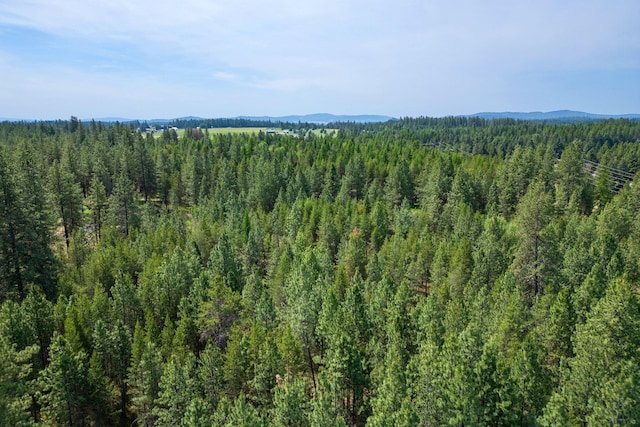NKA W Antler Rd, Deer Park, WA 99006 - photo 18