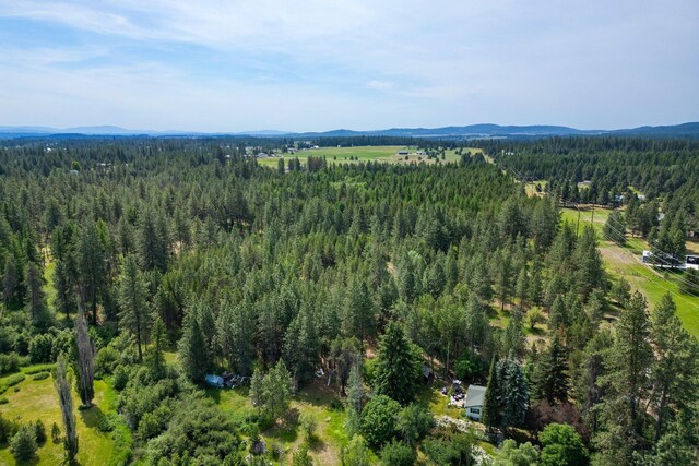 NKA W Antler Rd, Deer Park, WA 99006 - photo 19