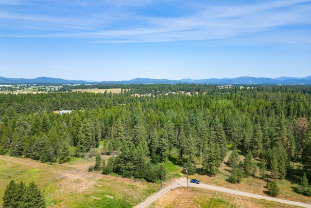 NKA W Antler Rd, Deer Park, WA 99006 - photo 3