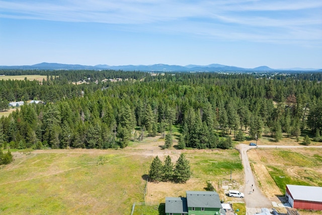 NKA W Antler Rd, Deer Park, WA 99006 - photo 4