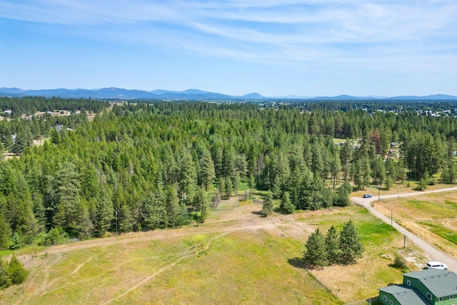 NKA W Antler Rd, Deer Park, WA 99006 - photo 5