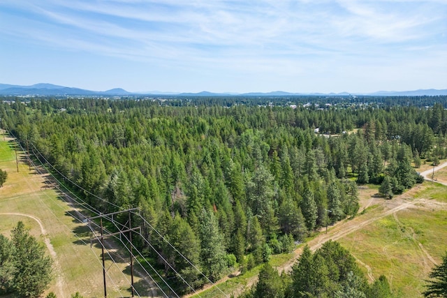 NKA W Antler Rd, Deer Park, WA 99006 - photo 6