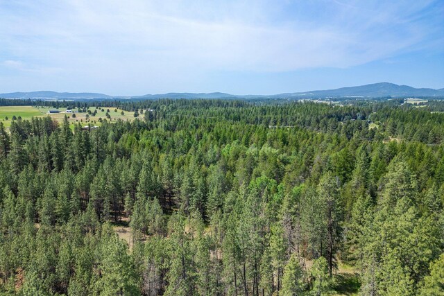 NKA W Antler Rd, Deer Park, WA 99006 - photo 10