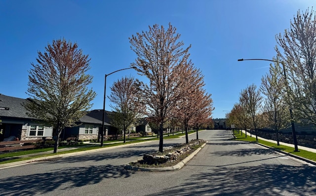 24493 E Pinnacle Ct # D, Liberty Lake, WA 99019 - view of asphalt street featuring street lights, curbs, sidewalks, and a residential view