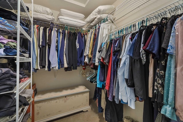 6709 S Moran View St, Spokane, WA 99224 - spacious closet featuring carpet flooring