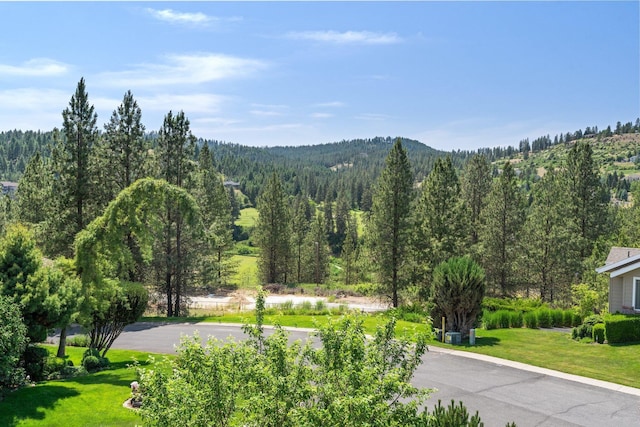 2106 E Turnberry Ln, Spokane, WA 99223 - view of mountain background featuring a forest