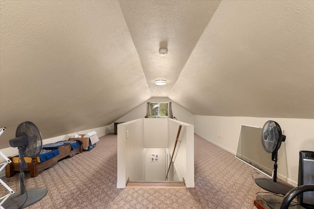 1481 Northshore Diamond Lake Rd, Newport, WA 99156 - bonus room with carpet flooring, a textured ceiling, and lofted ceiling