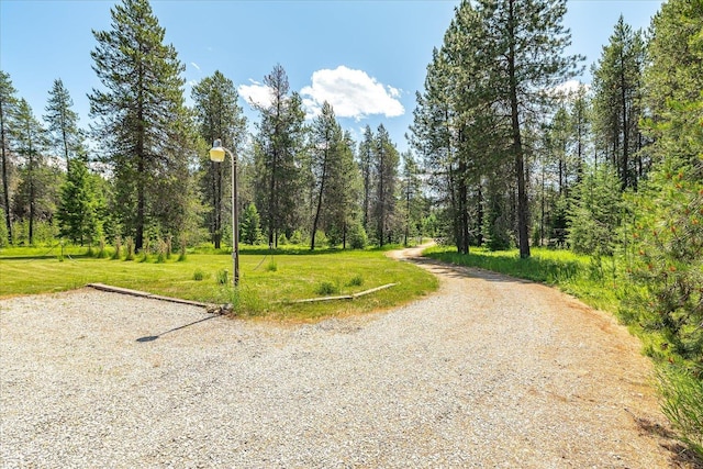 1481 Northshore Diamond Lake Rd, Newport, WA 99156 - view of dirt / gravel road with street lighting and a view of trees