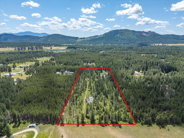 1481 Northshore Diamond Lake Rd, Newport, WA 99156 - aerial overview of property's location featuring a heavily wooded area and property boundaries highlighted