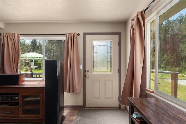 1481 Northshore Diamond Lake Rd, Newport, WA 99156 - foyer featuring a textured ceiling and wood finished floors