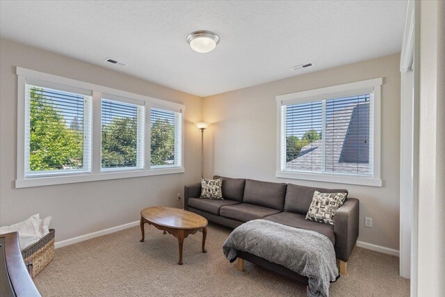4213 S Cook St, Spokane, WA 99223 - living area with carpet floors