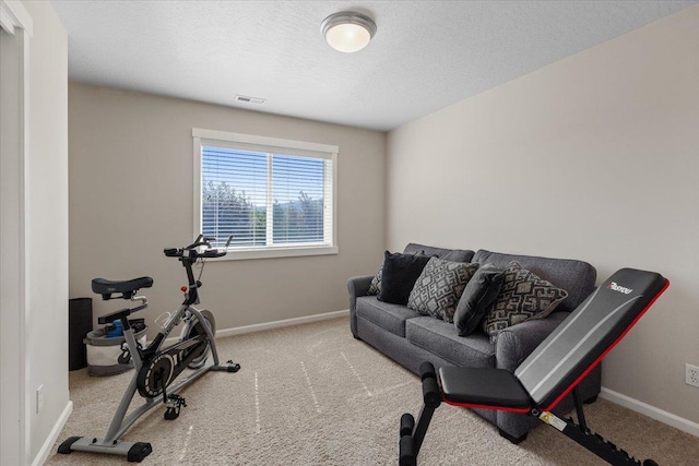 4213 S Cook St, Spokane, WA 99223 - workout area featuring carpet floors and a textured ceiling