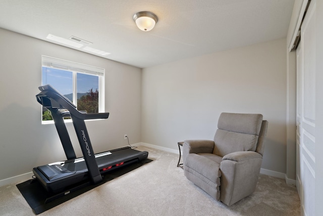 1248 W Staples Rd, Post Falls, ID 83854 - workout area with carpet and baseboards