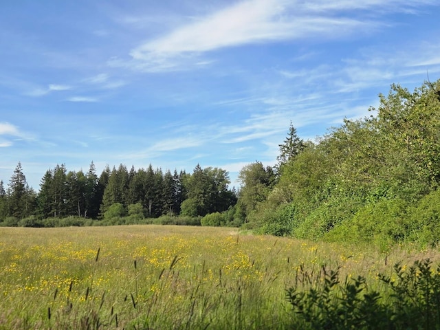 6321 310th St NW Stanwood, Unit Stanwood, WA 98292 - view of tree filled area