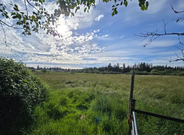 6321 310th St NW Stanwood, Unit Stanwood, WA 98292 - view of yard featuring a rural view