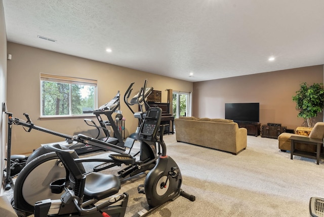 4812 S Wildwood Ln, Spokane, WA 99206 - workout room featuring recessed lighting, carpet flooring, and a textured ceiling