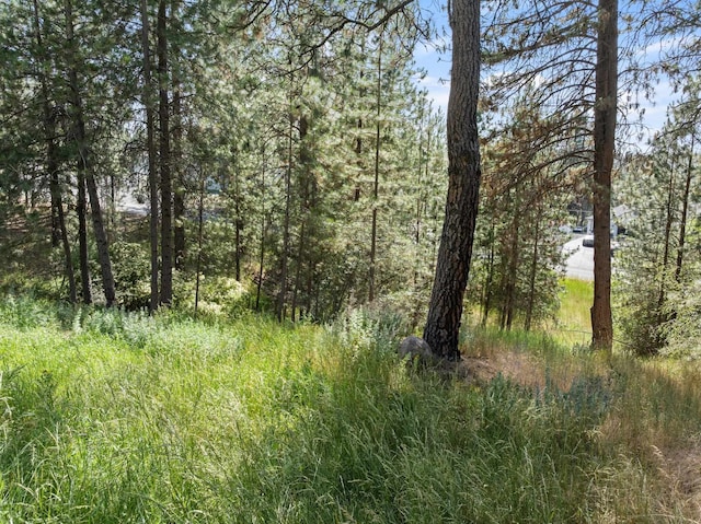 4812 S Wildwood Ln, Spokane, WA 99206 - view of woods