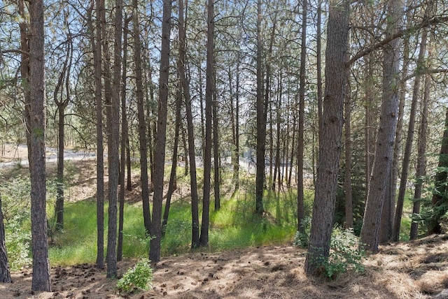 4812 S Wildwood Ln, Spokane, WA 99206 - view of undeveloped land