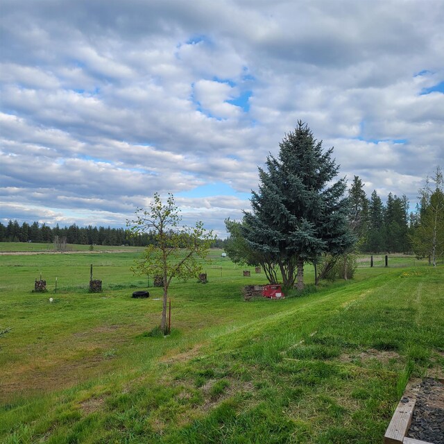 15515 S Curtis Rd, Cheney, WA 99004 - photo 32