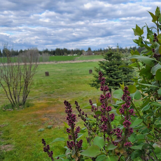 15515 S Curtis Rd, Cheney, WA 99004 - photo 33