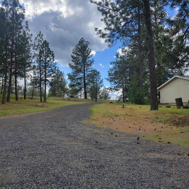 15515 S Curtis Rd, Cheney, WA 99004 - photo 36