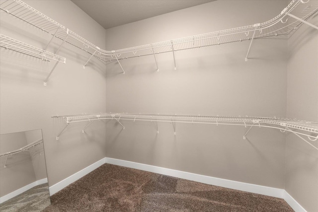 6571 Kate Dr, Nine Mile Falls, WA 99206 - walk in closet featuring carpet floors