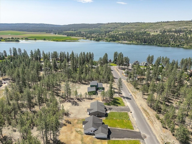 6571 Kate Dr, Nine Mile Falls, WA 99206 - bird's eye view of a large body of water