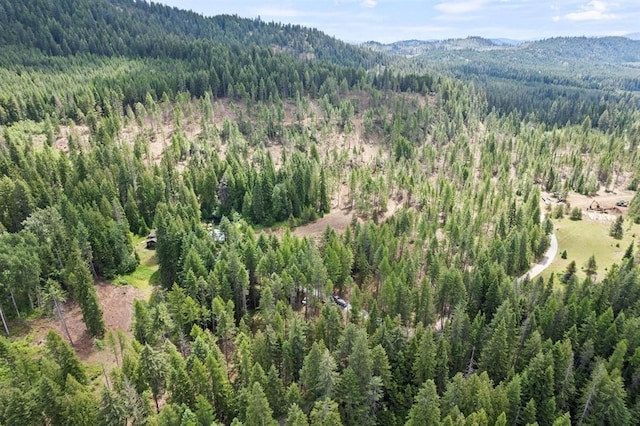NKN Sunrise Hill Ln, Newport, WA 99156 - photo 2