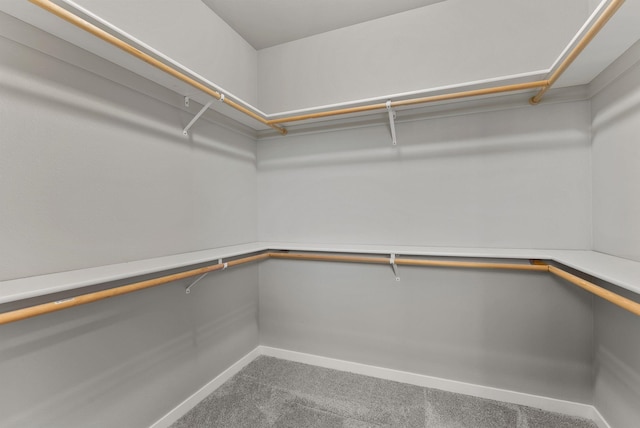 37818 N Grove Rd, Deer Park, WA 99006 - walk in closet featuring carpet