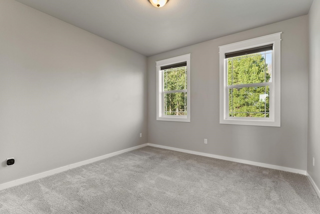 37818 N Grove Rd, Deer Park, WA 99006 - spare room with carpet flooring