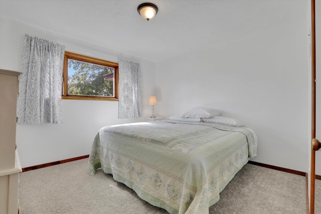 1310 N Woodruff Rd, Spokane Valley, WA 99206 - bedroom featuring carpet floors