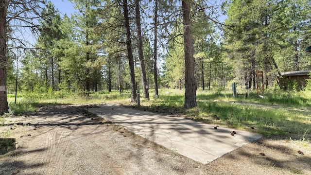 38415 N Hatch Rd, Deer Park, WA 99006 - view of street featuring a forest view