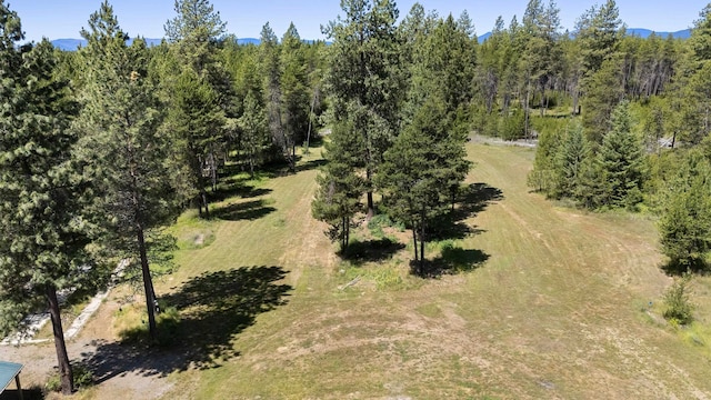 38415 N Hatch Rd, Deer Park, WA 99006 - aerial view of a heavily wooded area