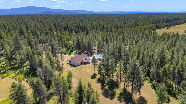 38415 N Hatch Rd, Deer Park, WA 99006 - view of subject property with a heavily wooded area and mountains