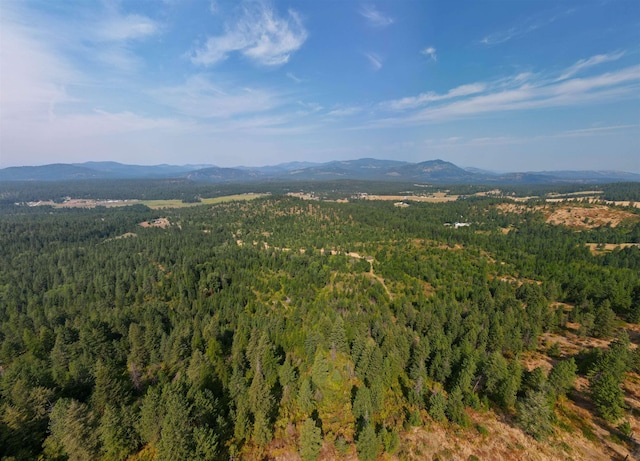 1301 S Roberts Rd, Newport, WA 99156 - view of mountain background featuring a heavily wooded area