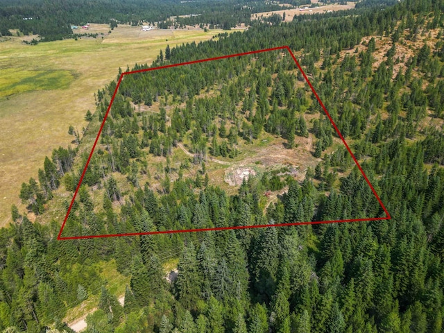 1301 S Roberts Rd, Newport, WA 99156 - aerial overview of property's location with a forest and property parcel outlined