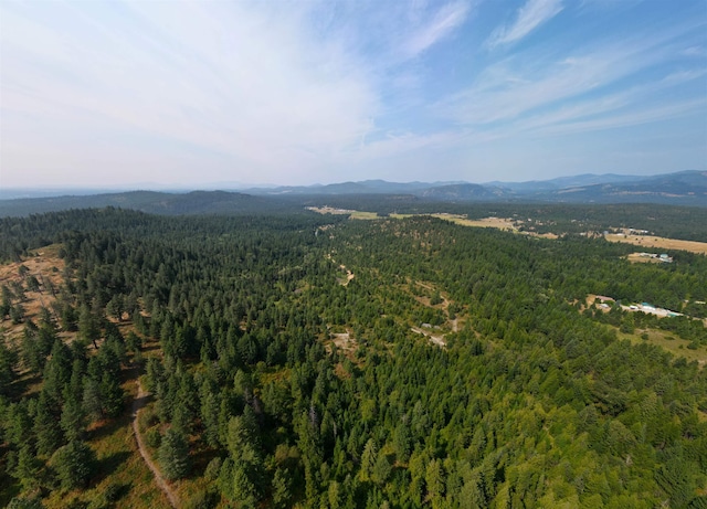 1301 S Roberts Rd, Newport, WA 99156 - view of mountain background featuring a heavily wooded area