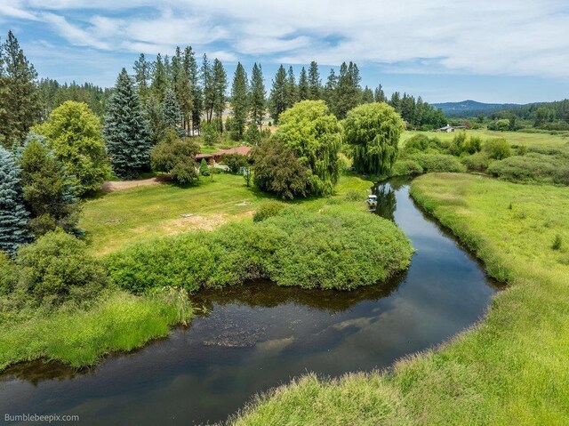 25810 N River Terrace Rd, Chattaroy, WA 99003 - photo 30