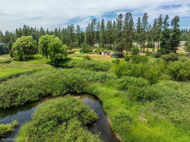 25810 N River Terrace Rd, Chattaroy, WA 99003 - photo 32