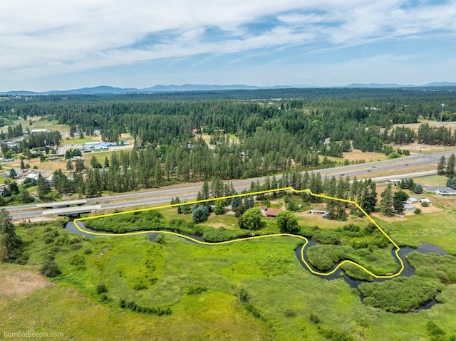 25810 N River Terrace Rd, Chattaroy, WA 99003 - photo 37