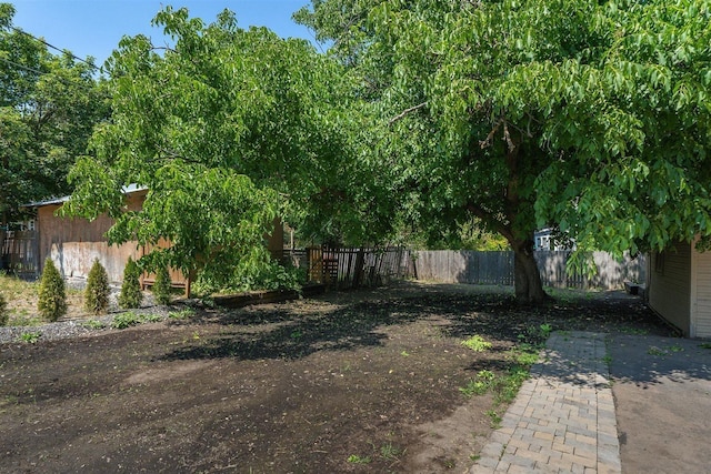 215 E 18th Ave, Spokane, WA 99203 - view of yard